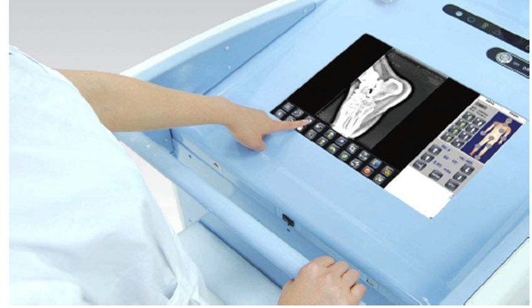 Portable Digital X-Ray System Portable Digital X-Ray System