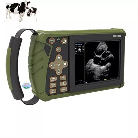 vet ultrasound scanner