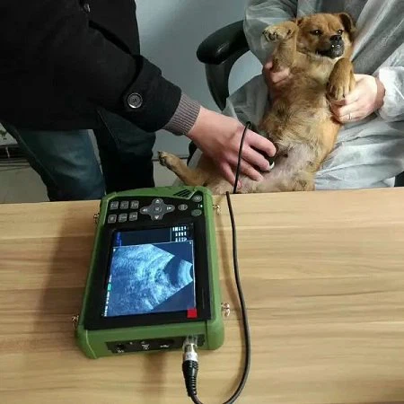 ultrasound scanner