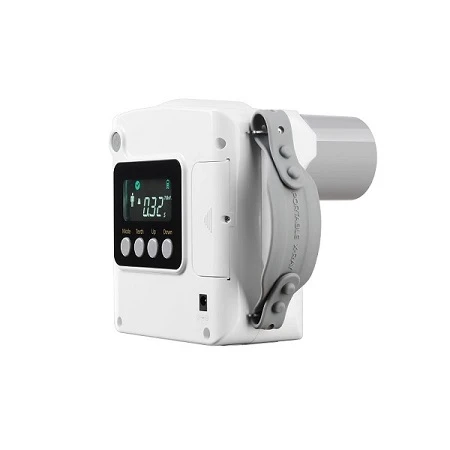 dental x ray 2