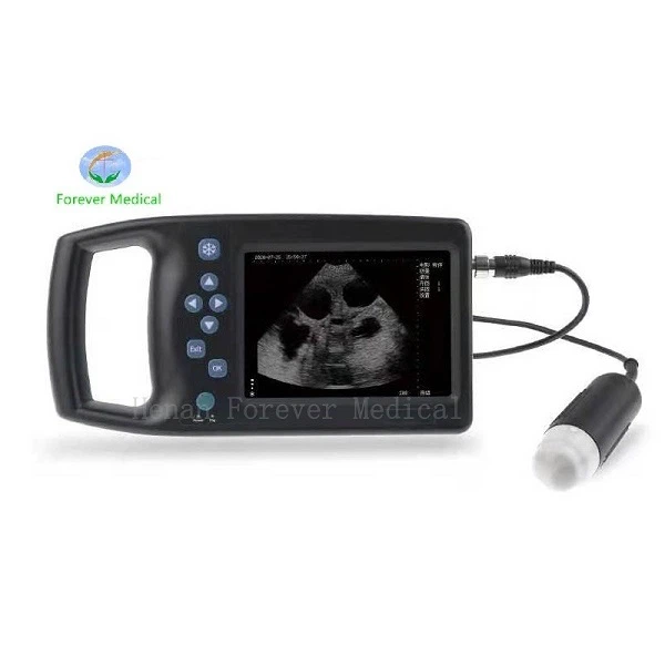 vet ultrasound machine price vet ultrasound machine price