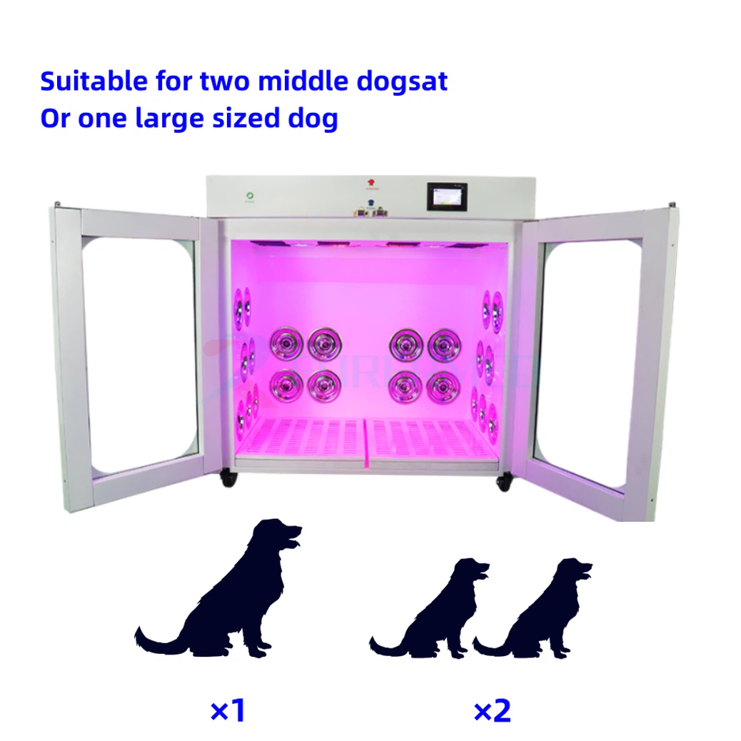 pet hair dryer room pet hair dryer room