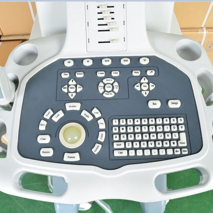2D B/W Trolley Ultrasound Diagnosis System