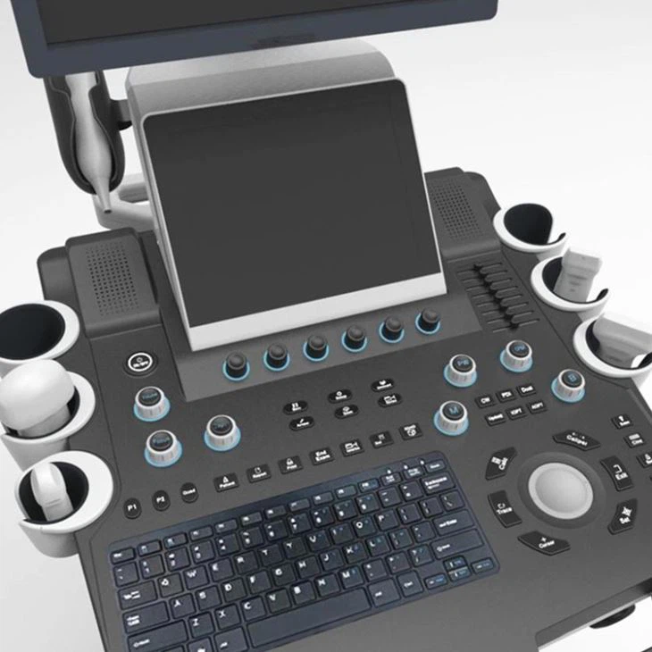 4D Portable Ultrasound for Anesthesiology