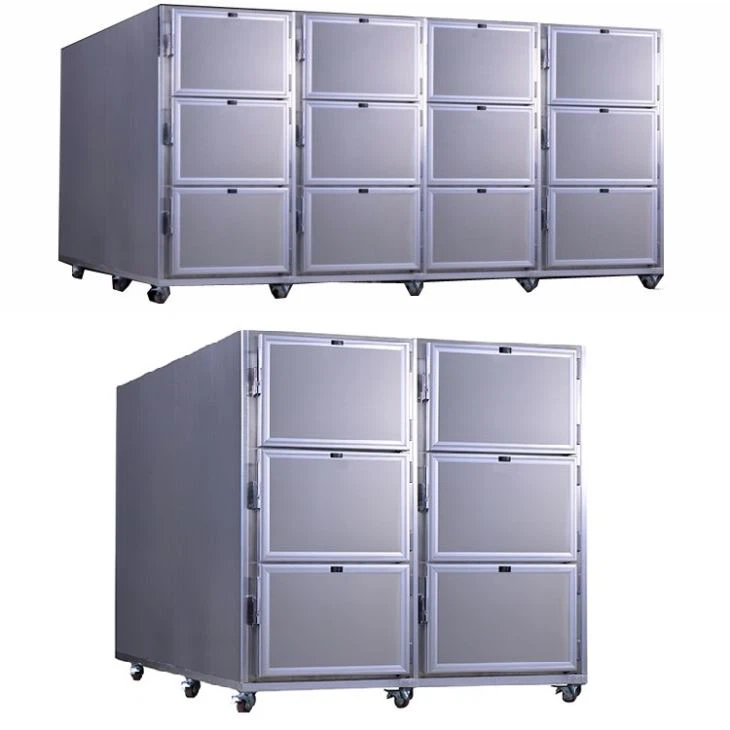 6 Mortuary Body Refrigerators