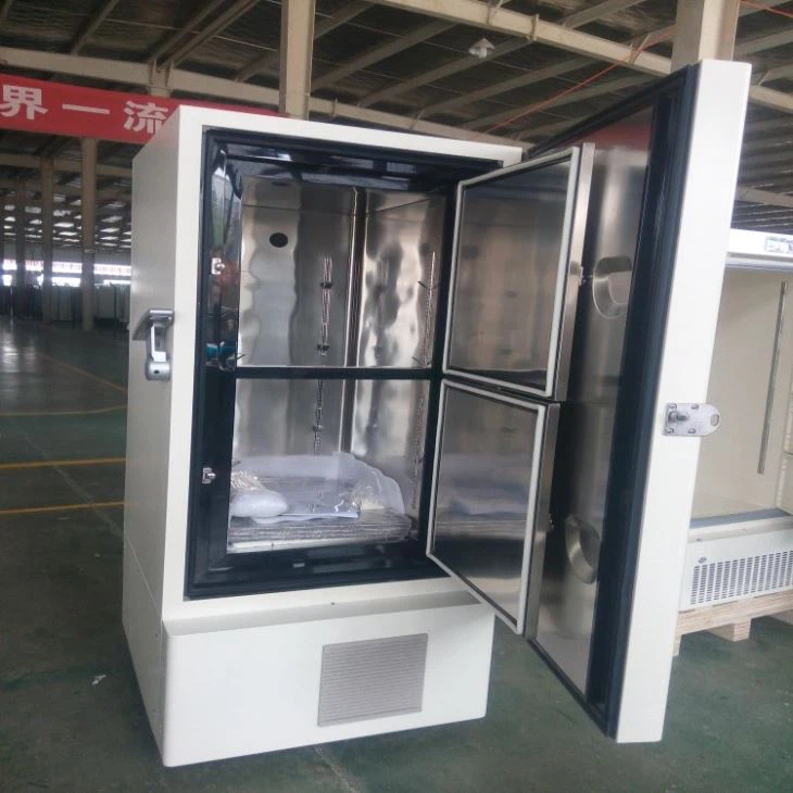 	-60 Lab Upright Deep Freezer