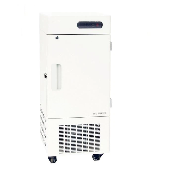 	-60 Lab Upright Deep Freezer