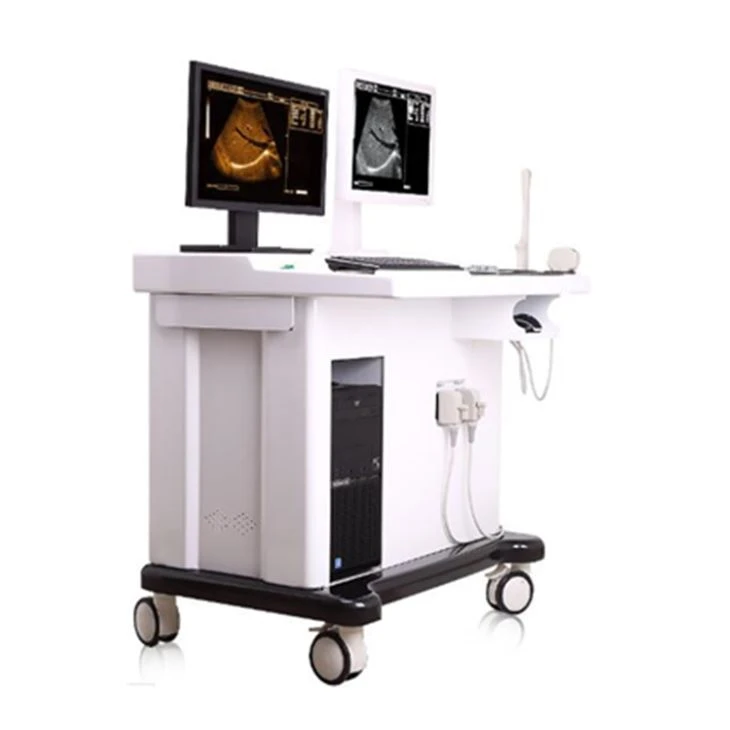 B/W Digital Trolley Ultrasound Workstation System
