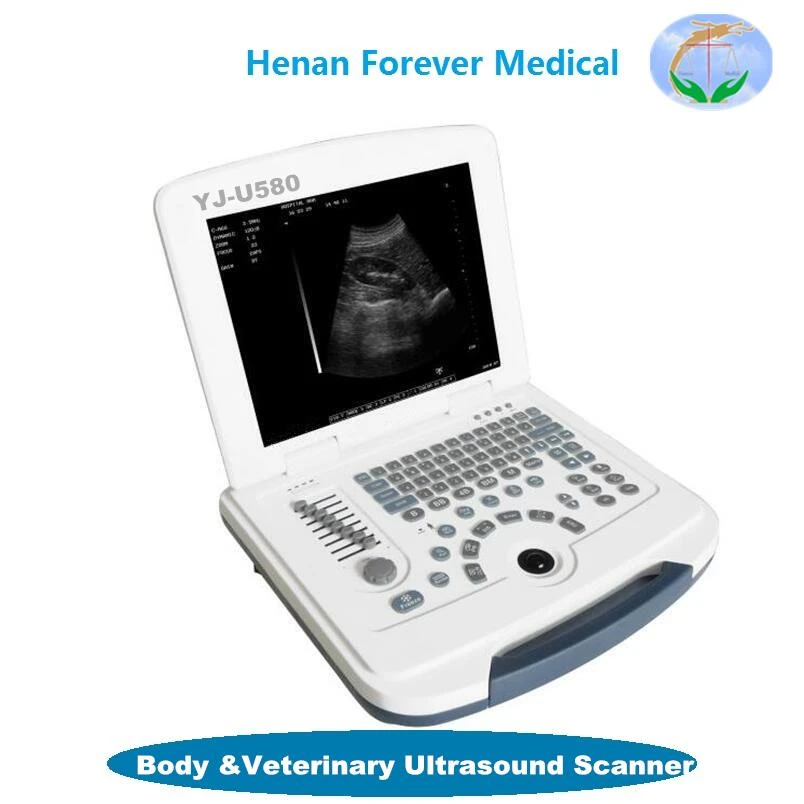Veterinary Ultrasound Scanner YJ-U580 Training Implement