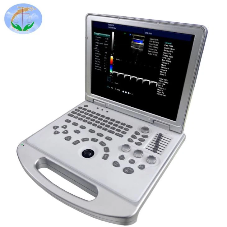 High Quality 4D Ultrasound Transducer