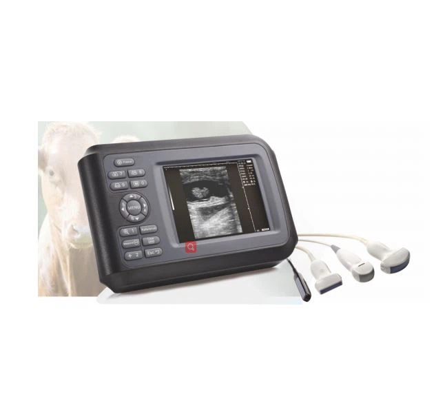 Small And Portable Veterinary Ultrasound Small And Portable Veterinary Ultrasound
