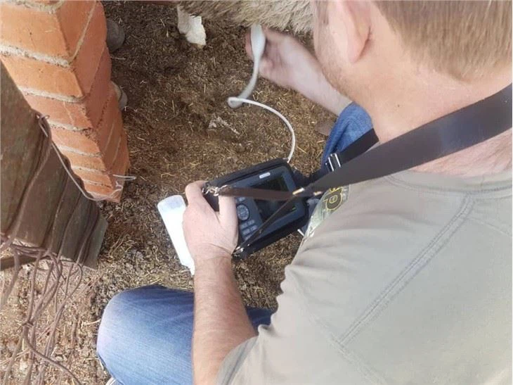 Small And Portable Veterinary Ultrasound Small And Portable Veterinary Ultrasound