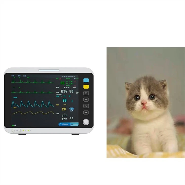 Veterinary Blood Pressure Monitor