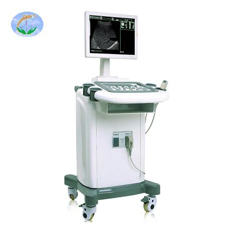Full Digital Trolley Ultrasound Scanner Full Digital Trolley Ultrasound Scanner