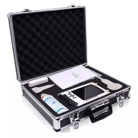 portable ultrasound portable ultrasound