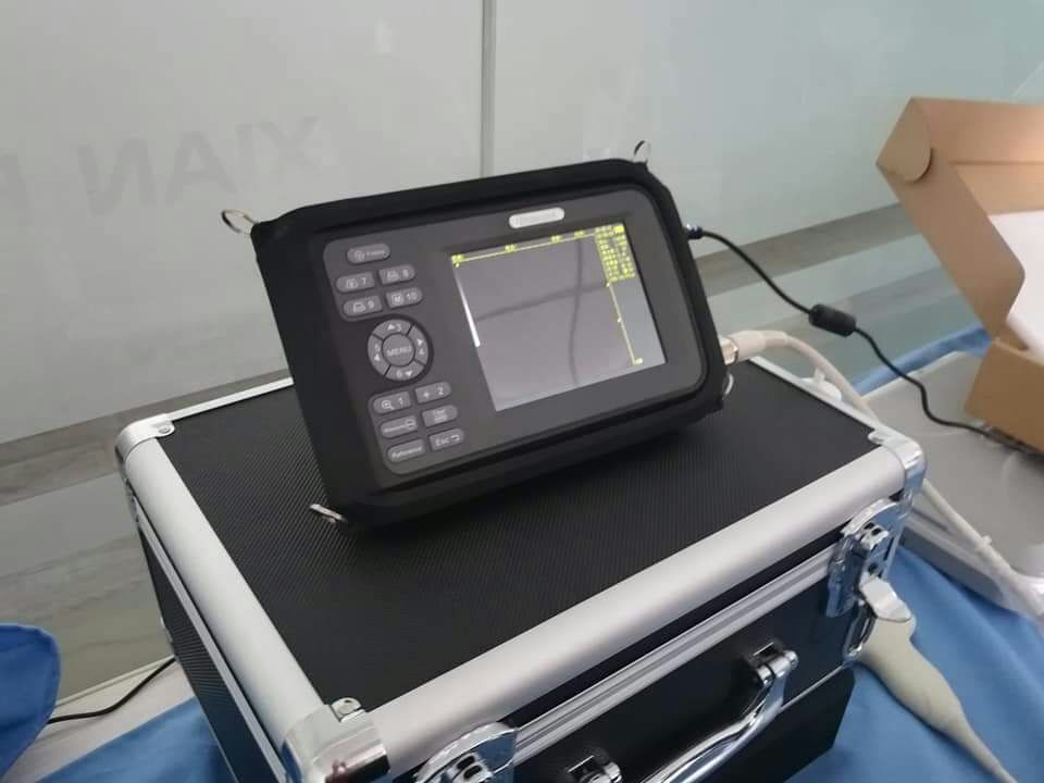 Nursing Guide for Ultrasonic Testing of Dogs by Veterinary B-ultrasound Machine