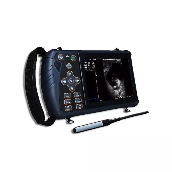 Medical Imaging Equipment Portable Veterinary Ultrasound For Animal Use