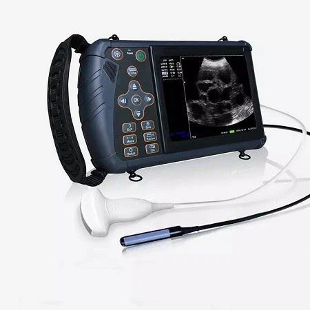 Medical Veterinary Ultrasound 