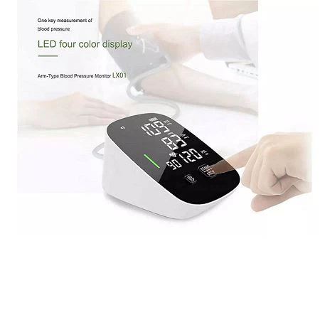Portable blood pressure monitor