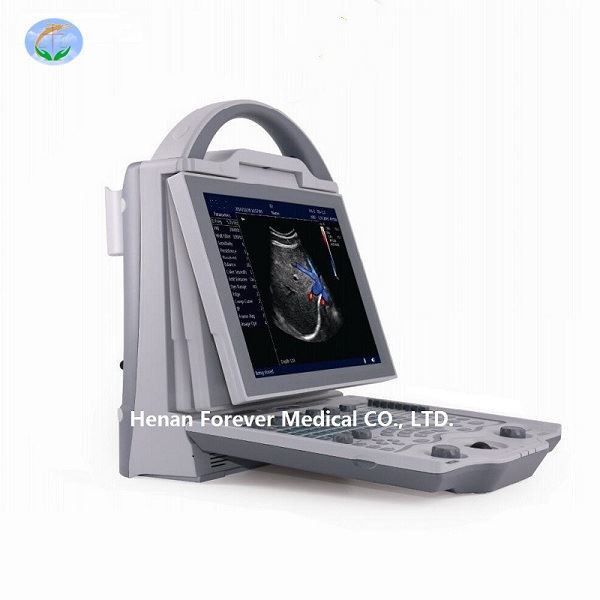 Portable Black And White Human Ultrasound Scanner
