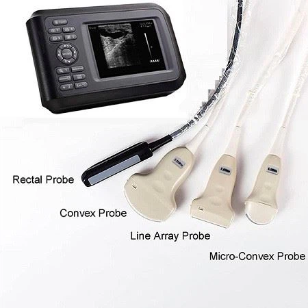 Portable Veterinary Handheld Ultrasound MachineYJ-V20 Portable Veterinary Handheld Ultrasound MachineYJ-V20
