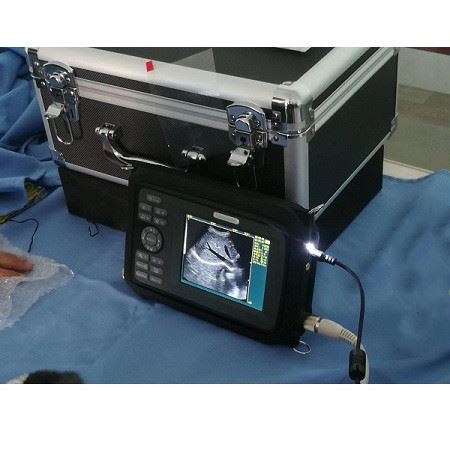 Portable Veterinary B&W Handheld Ultrasound Machine For Animal Portable Veterinary B&W Handheld Ultrasound Machine For Animal