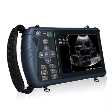 Effect of B-Ultrasound on Cattle in Preventing Termination of Pregnancy in Da...
