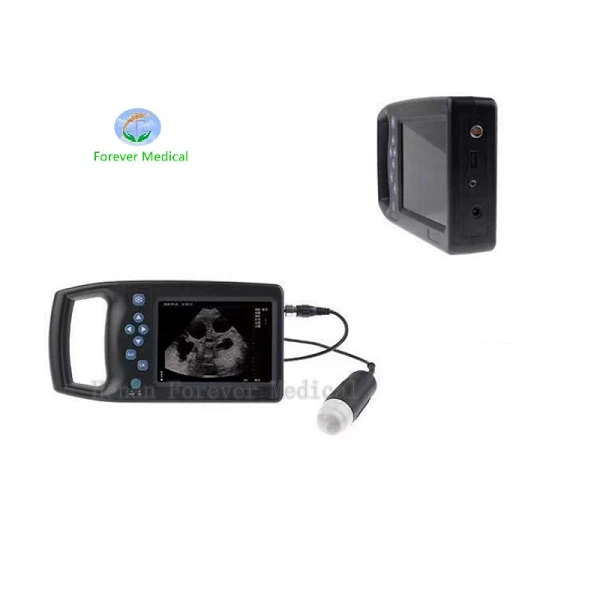 ultrasound handheld device ultrasound handheld device
