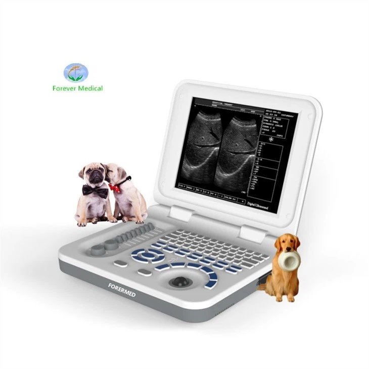 YJ-X30 Full Digital LED Portable Ultrasound